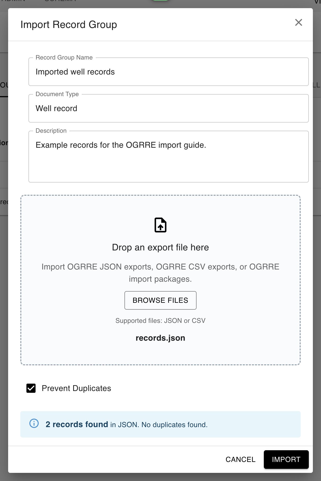 Import Record Group dialog with a JSON file, record group details, and the import preview