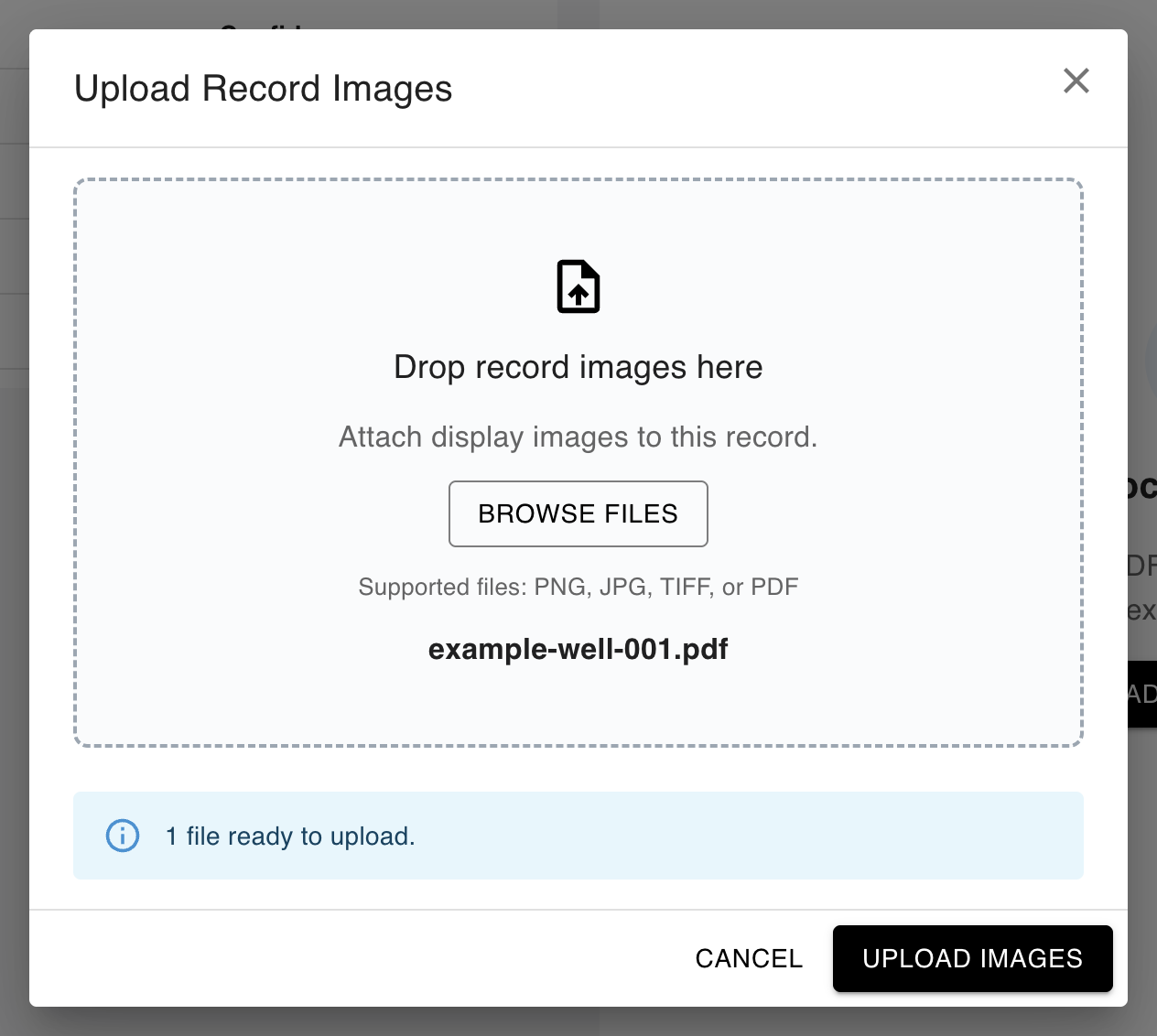 Upload Record Images dialog with a PDF selected